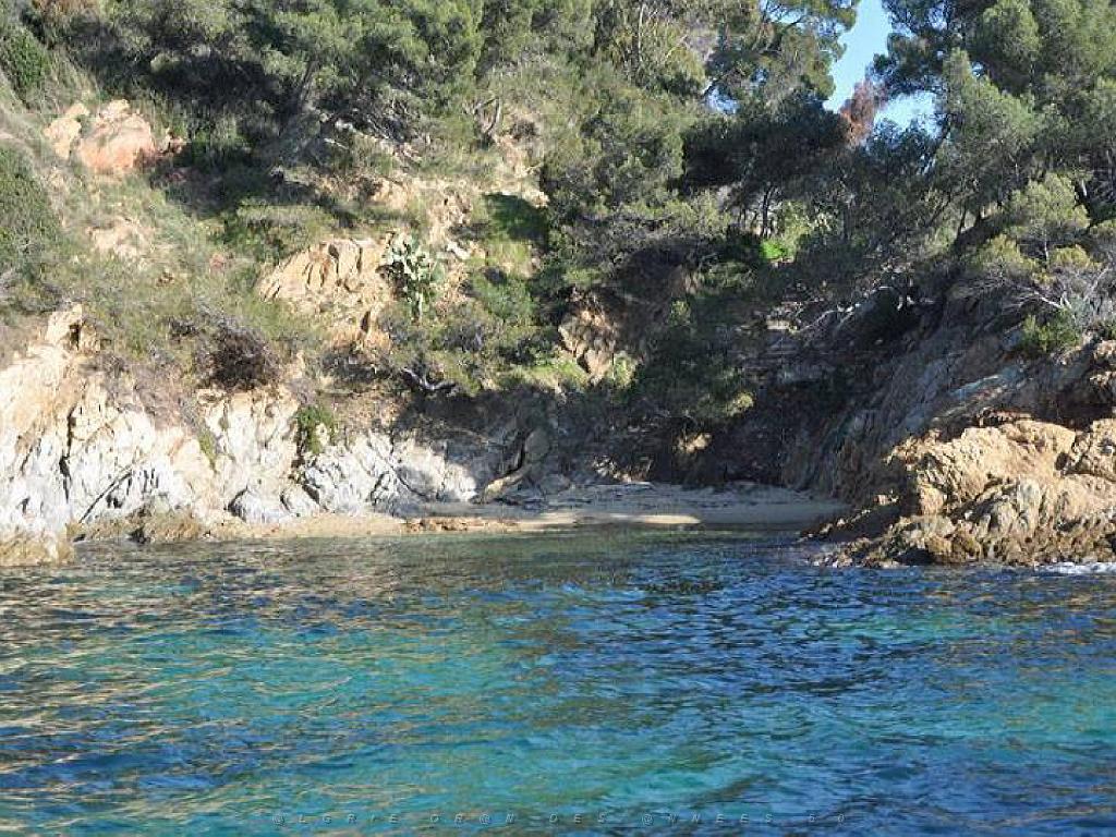 183 D36 LE LAVANDOU_000049.jpg